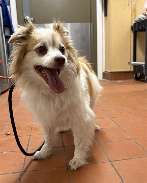 No Name - A872167