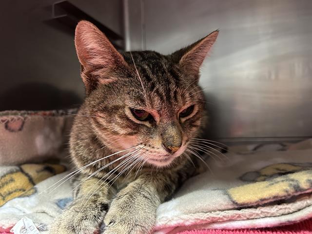 No Name - A872186