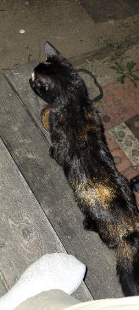 Image_2994518