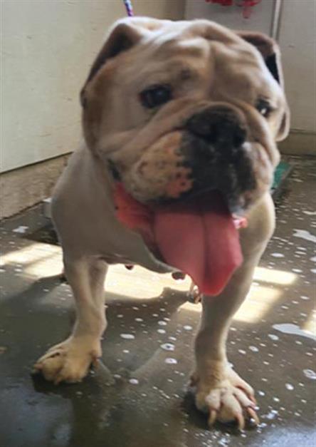 Madison - A872785
