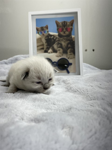 Image_A013093