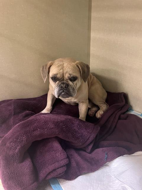 No Name - A872963