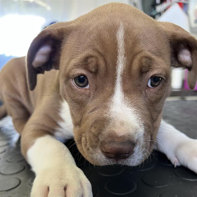 No Name - A873009