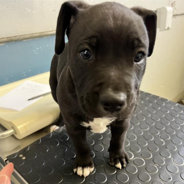 No Name - A873011