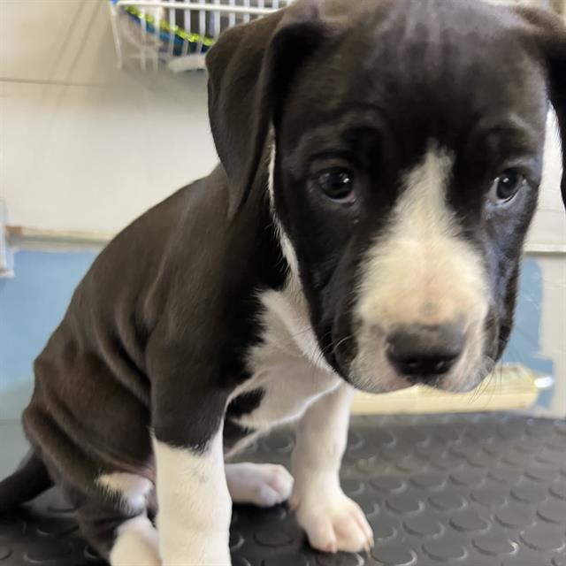 No Name - A873012