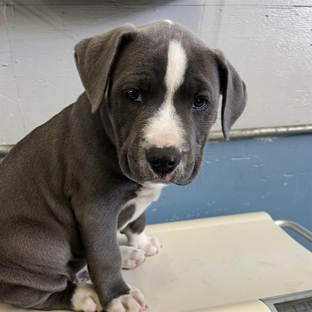 No Name - A873013