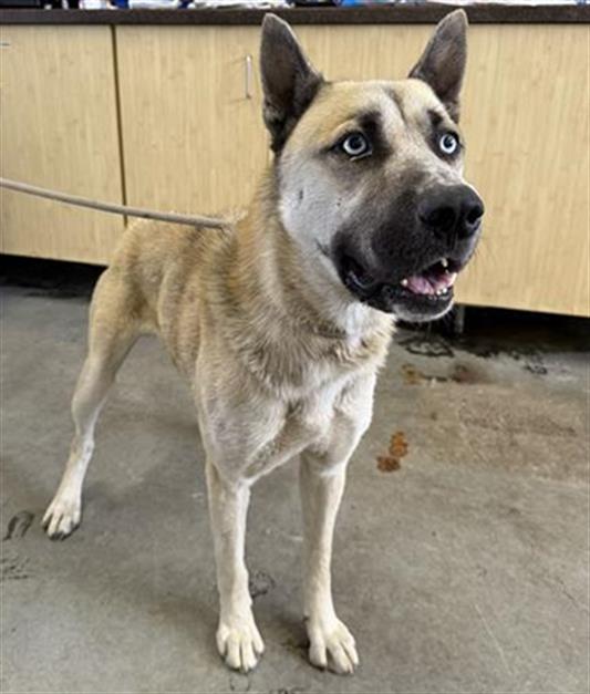No Name - A873045