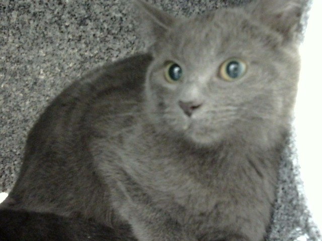 Image_A300034