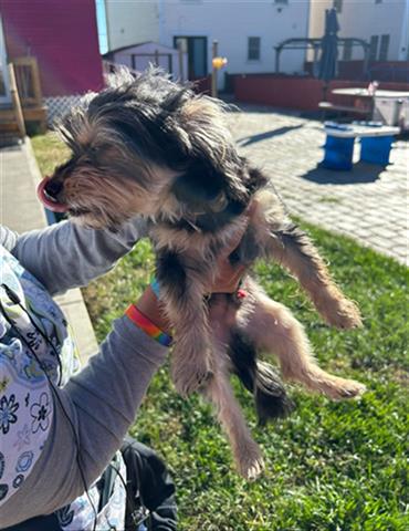 Image_A086829