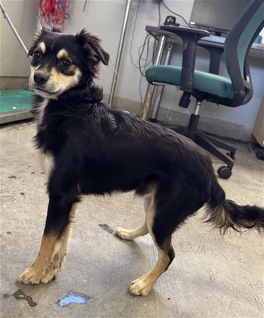 No Name - A873087