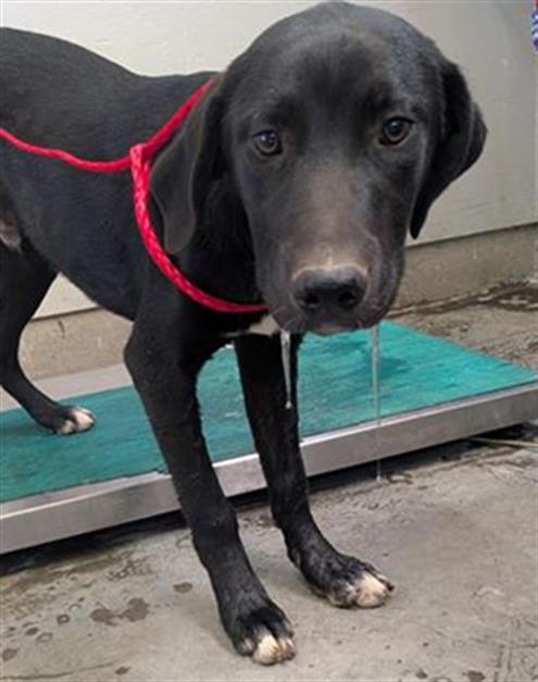 No Name - A873097