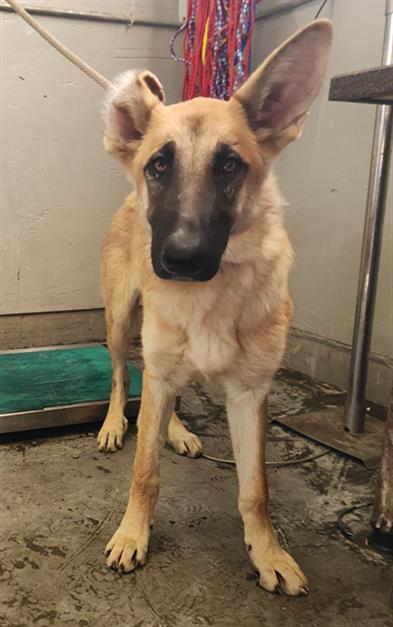 No Name - A873099