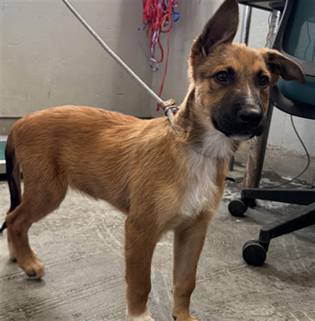 No Name - A873113