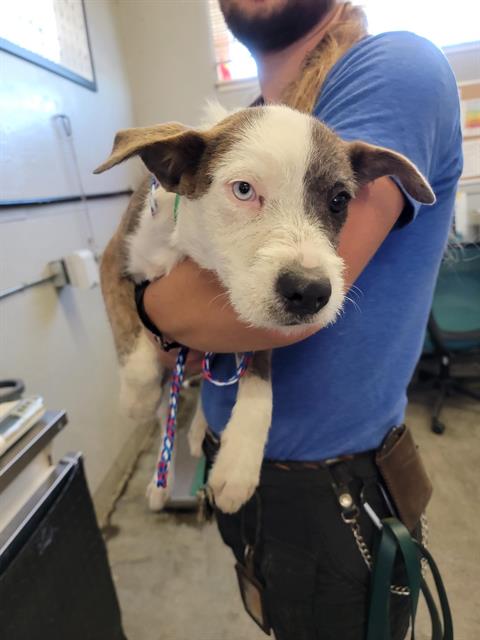 No Name - A873136