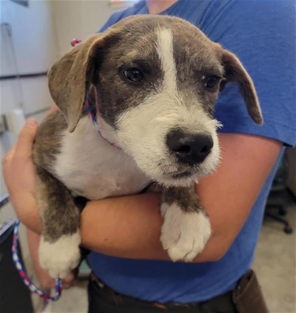 No Name - A873137