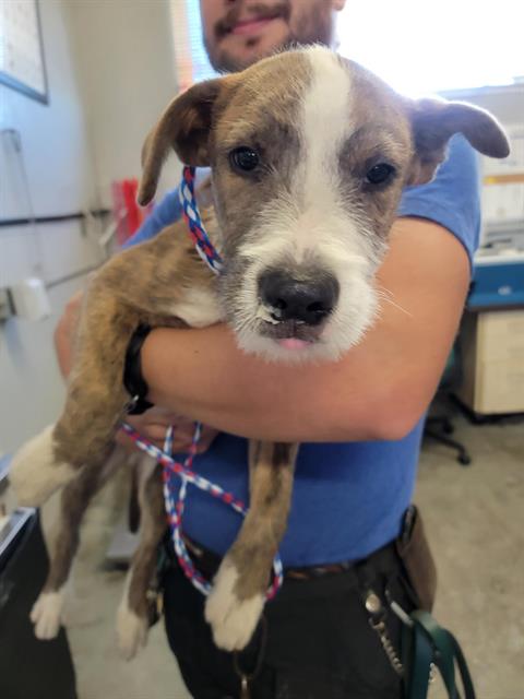 No Name - A873135