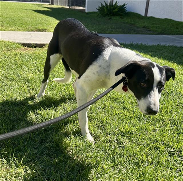 No Name - A873163