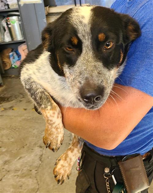 No Name - A873152