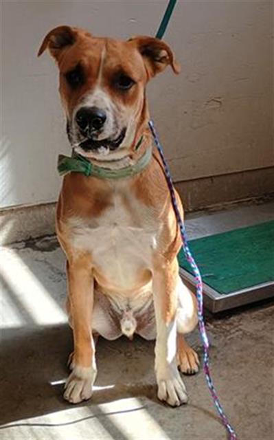 No Name - A873169