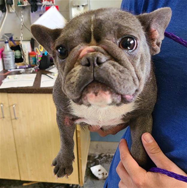 No Name - A873195