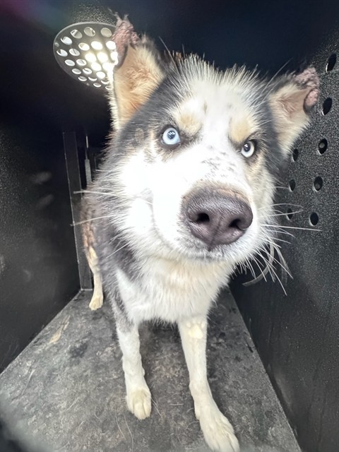 No Name - A873679