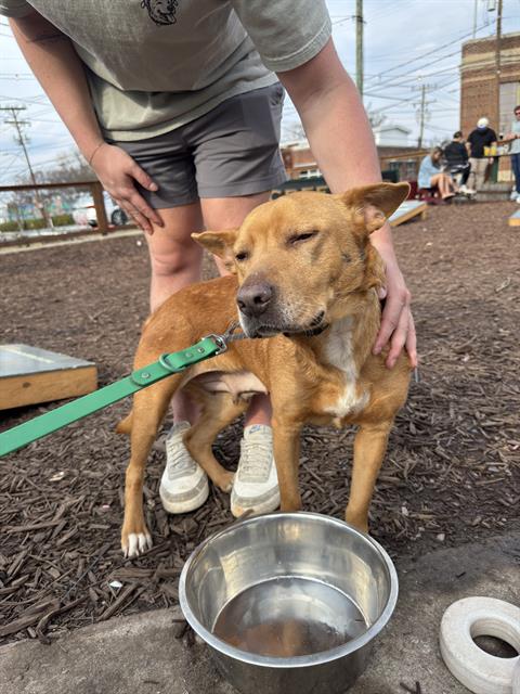 Image_A1259920