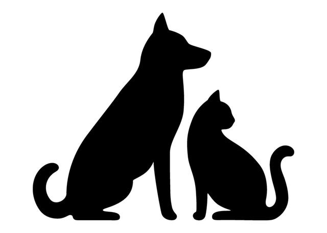 Image of Foster Project Safehouse Pets! the dog