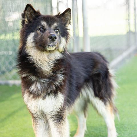 Toby - A879619
