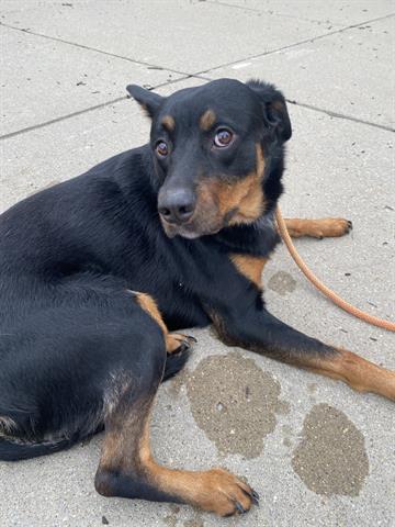 Image_A089734