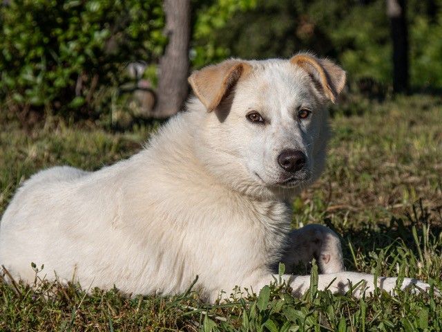 Image_A060763