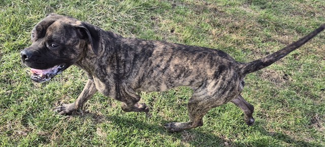 Image_A071891