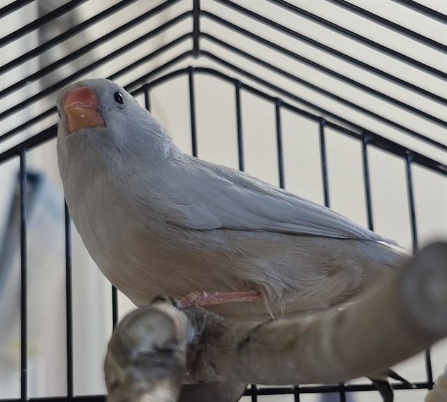 Image_A080958