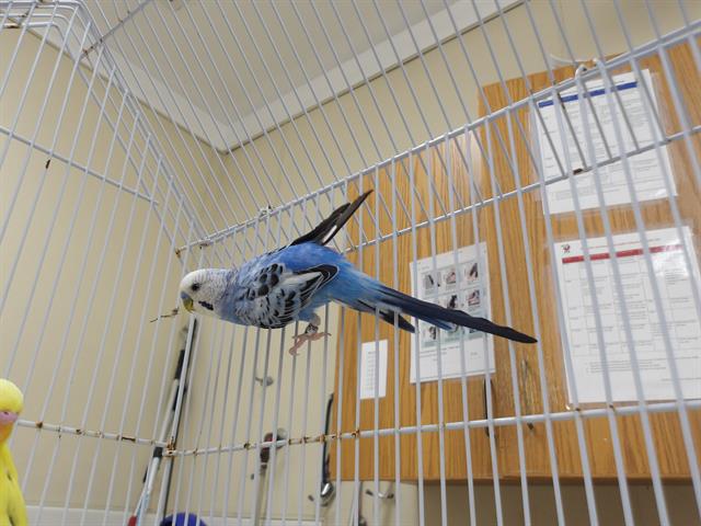 Image_A441607