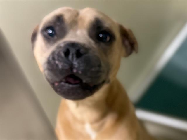 Image_A482915