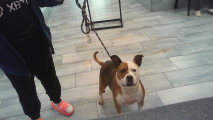 Image_A1264019