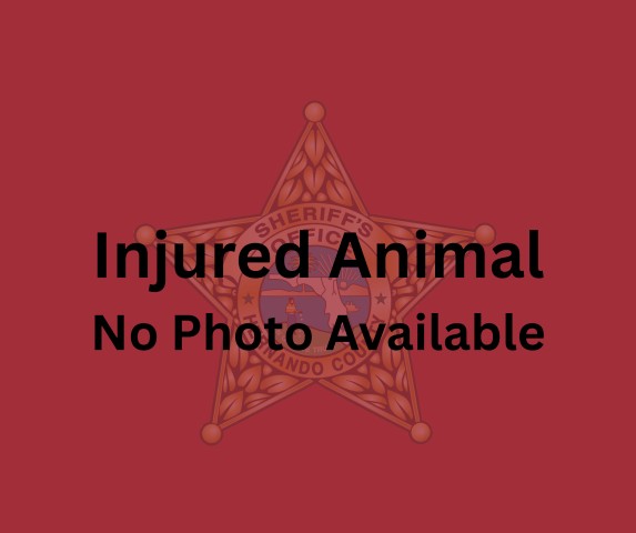 Image_A006710