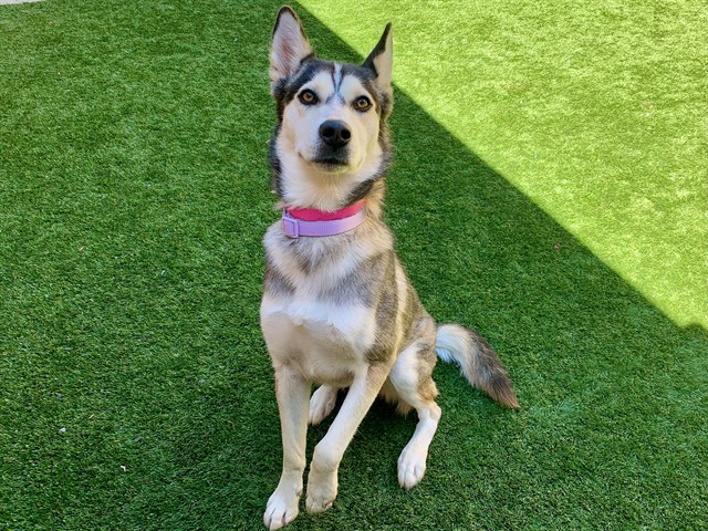 Image_A549424