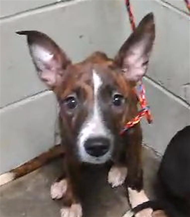 Image_A182124