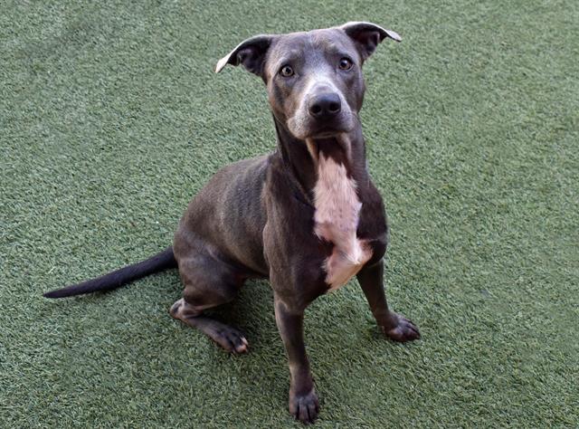 Image_A041591