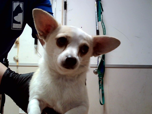 Image_A1047598