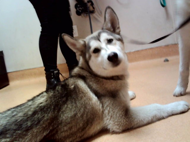 Image_A1047631