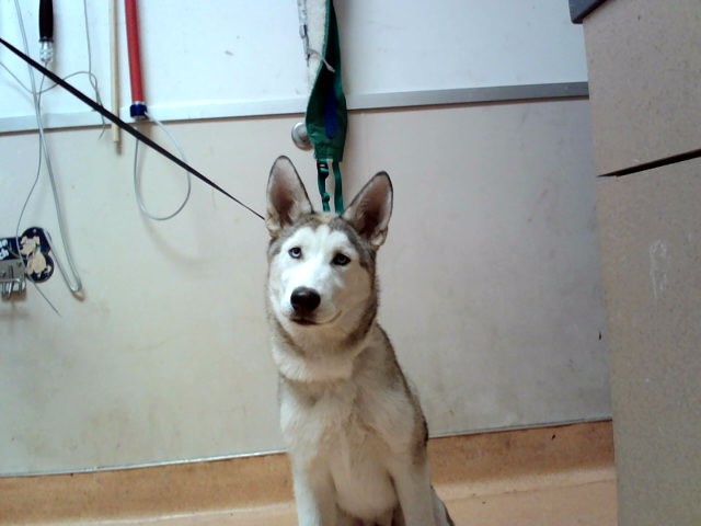 Image_A1047632