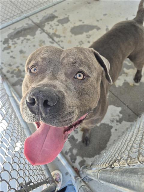 Image_A099936