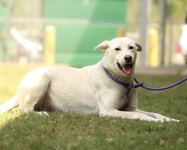 Image_A015556