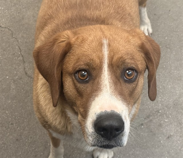 Image_A901501