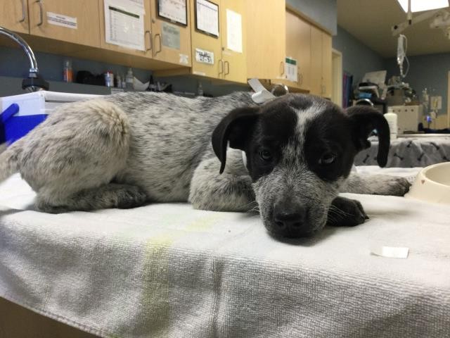 Image_A1920444