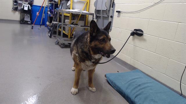 Image_A343993
