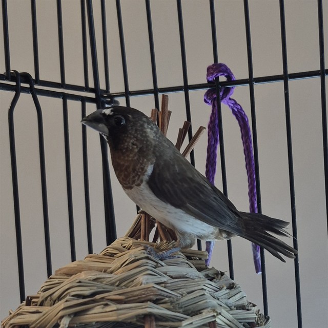 Image_A081625
