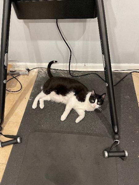 Image_3083387