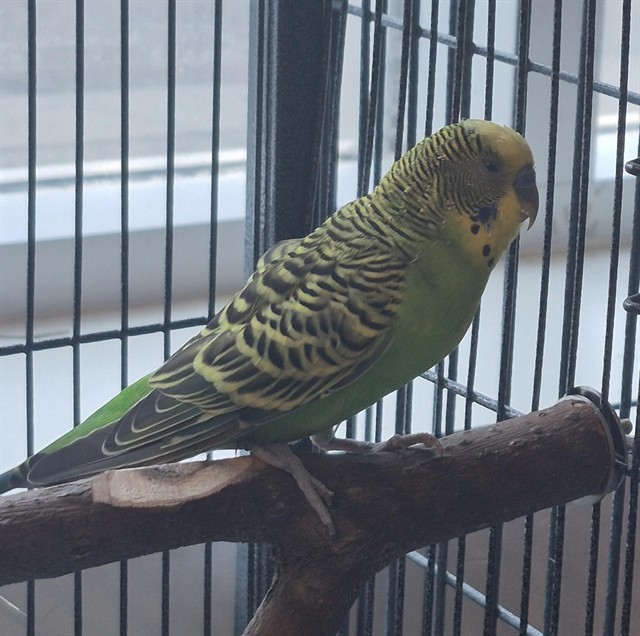 Image_A081724